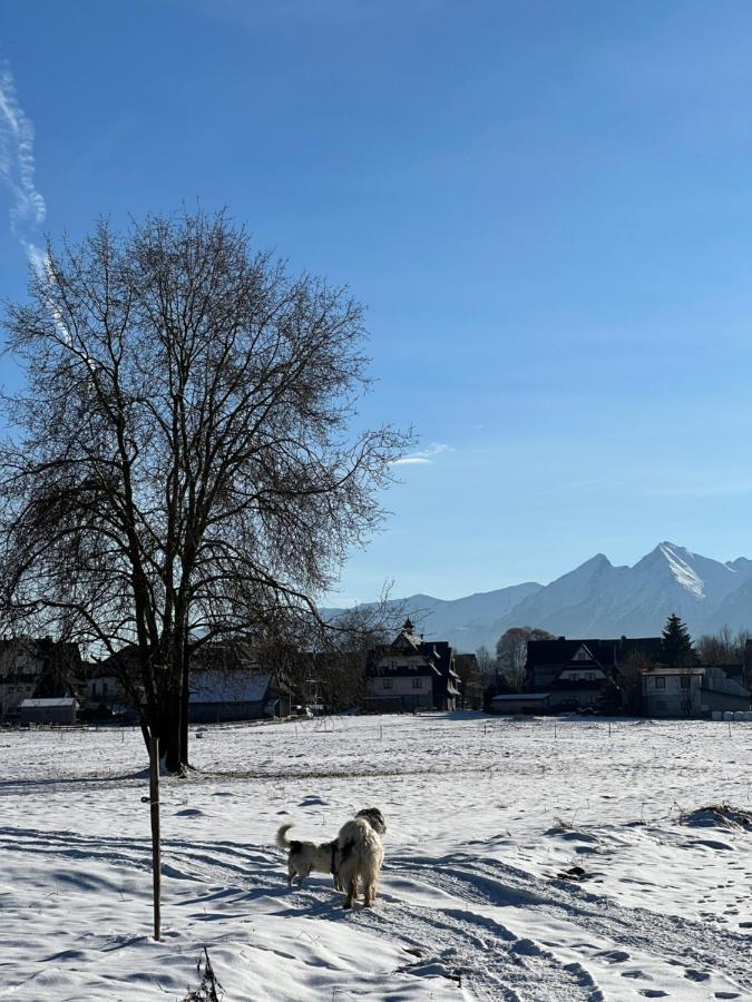 Pokoje U Danusi Czarna Góra Exterior foto